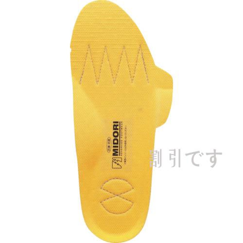 ミドリ安全　靴備品　ＰＴ５用静電インソール　２２ｃｍ　
